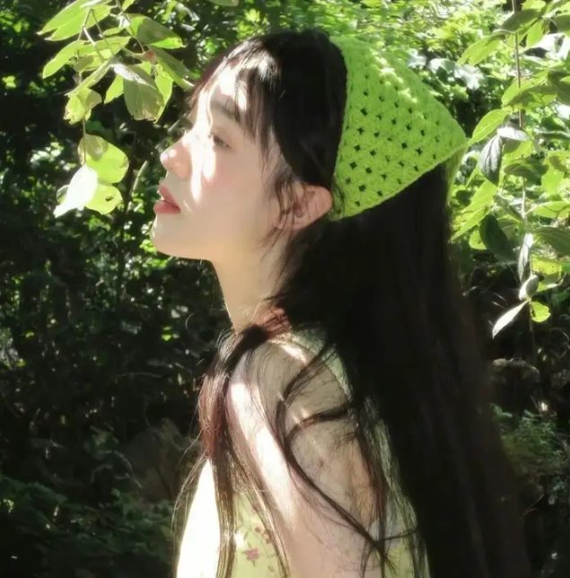 机器人与法兰克